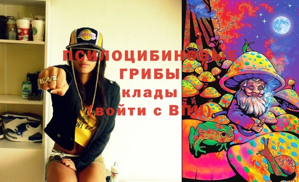 дживик Алексин