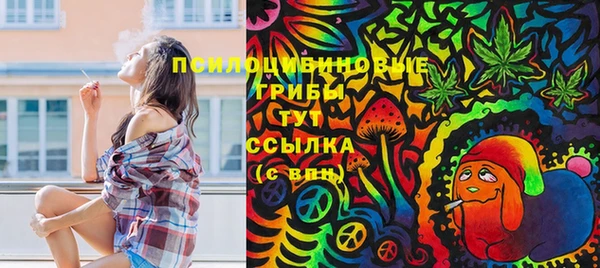 мяу мяу мука Алексеевка